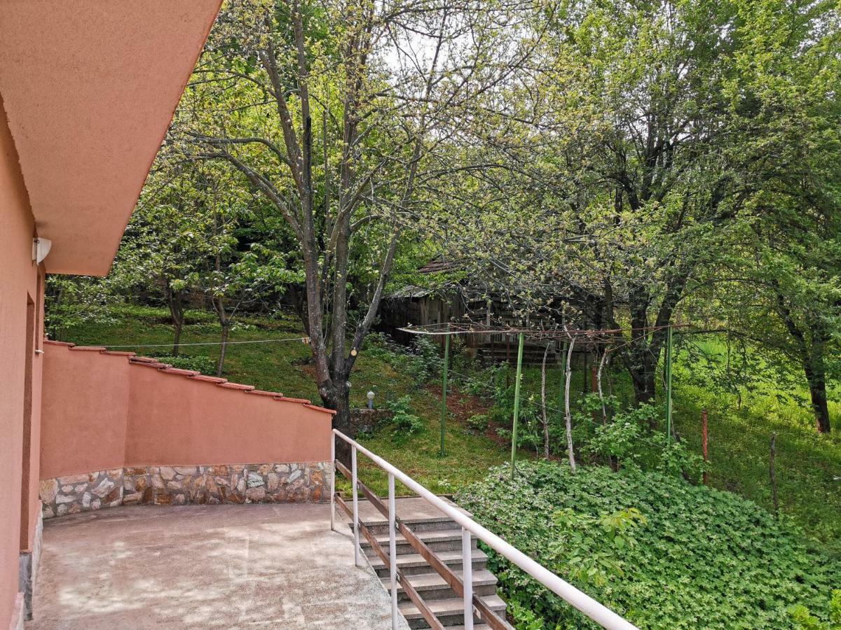 Villa Aqua Praveț Exterior foto
