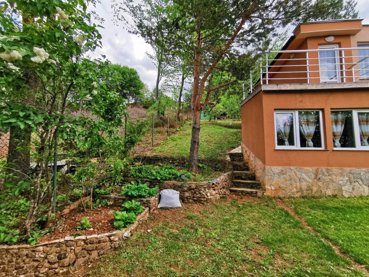 Villa Aqua Praveț Exterior foto