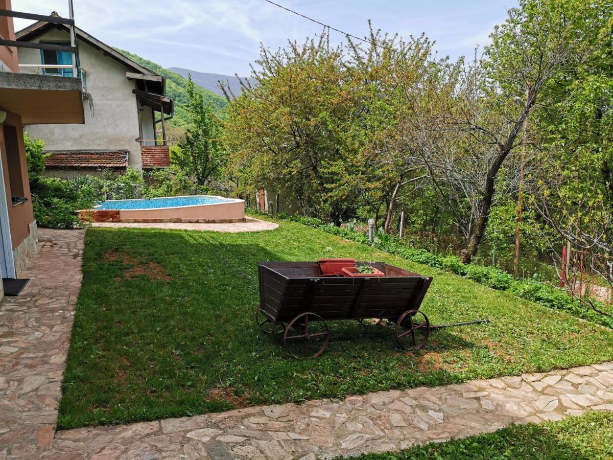 Villa Aqua Praveț Exterior foto