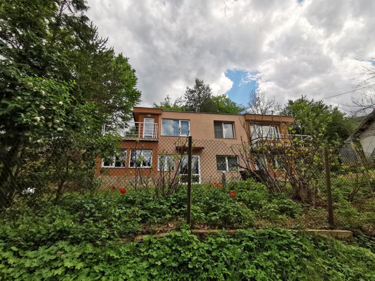 Villa Aqua Praveț Exterior foto