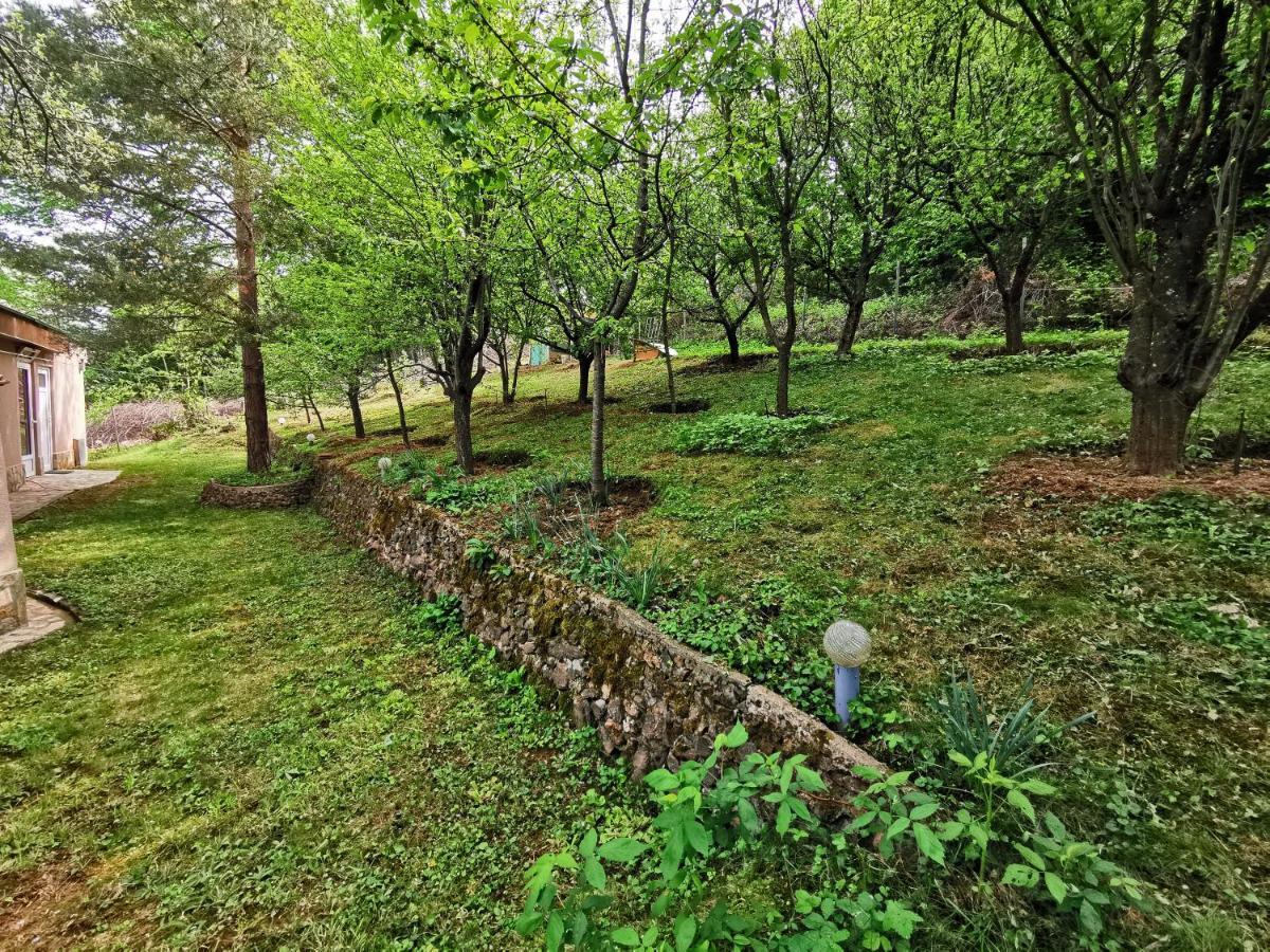 Villa Aqua Praveț Exterior foto